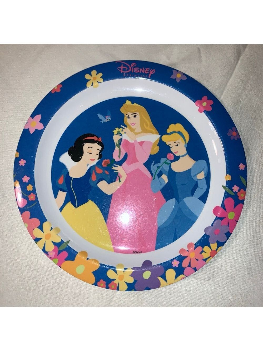 Disney Princess Plate 9” Blue